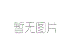 升級款鋼板專用氣動打標(biāo)機  DKBX-95*165S-